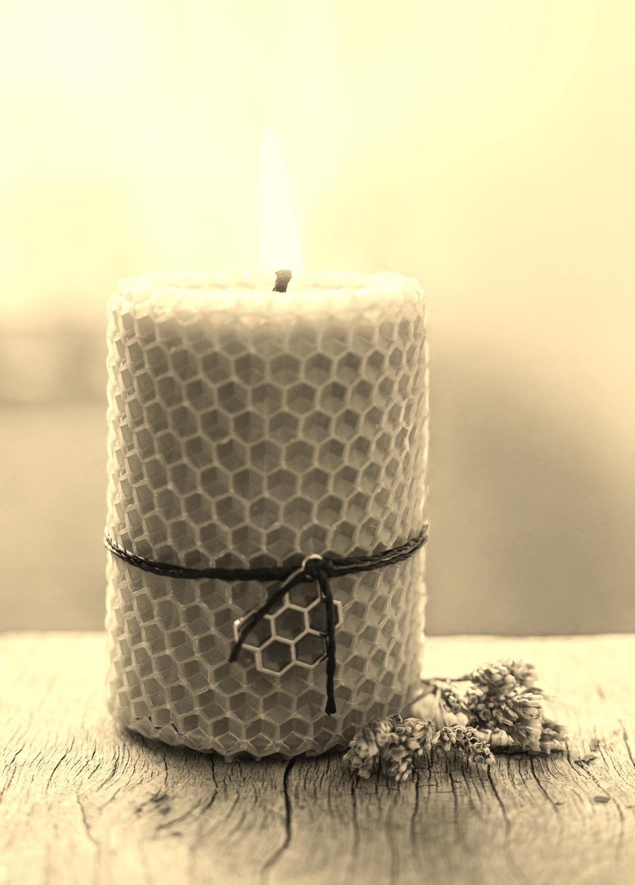 Beeswax & Cedar Candle