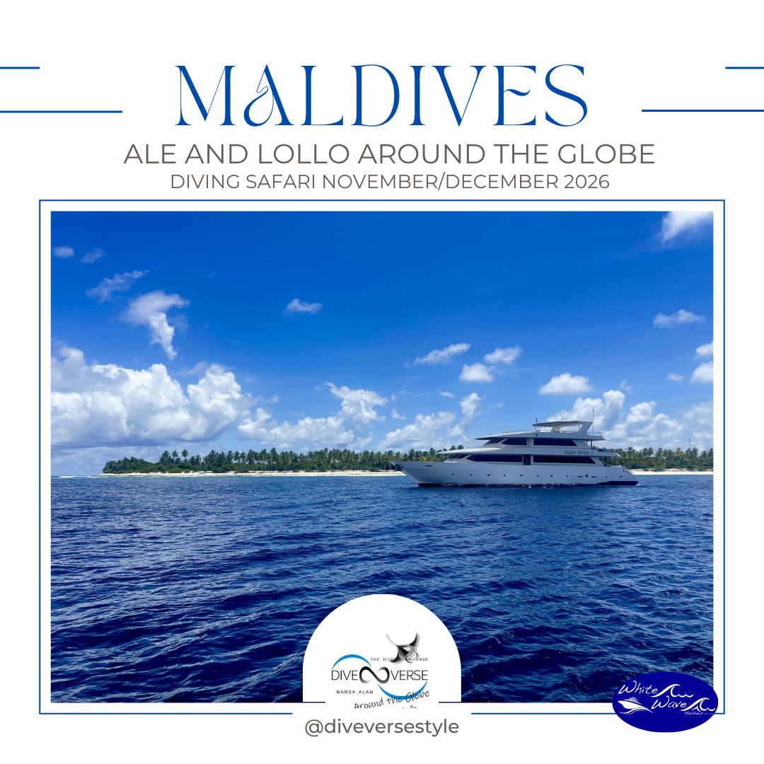 Safari Maldives, our epic Journey - 2026