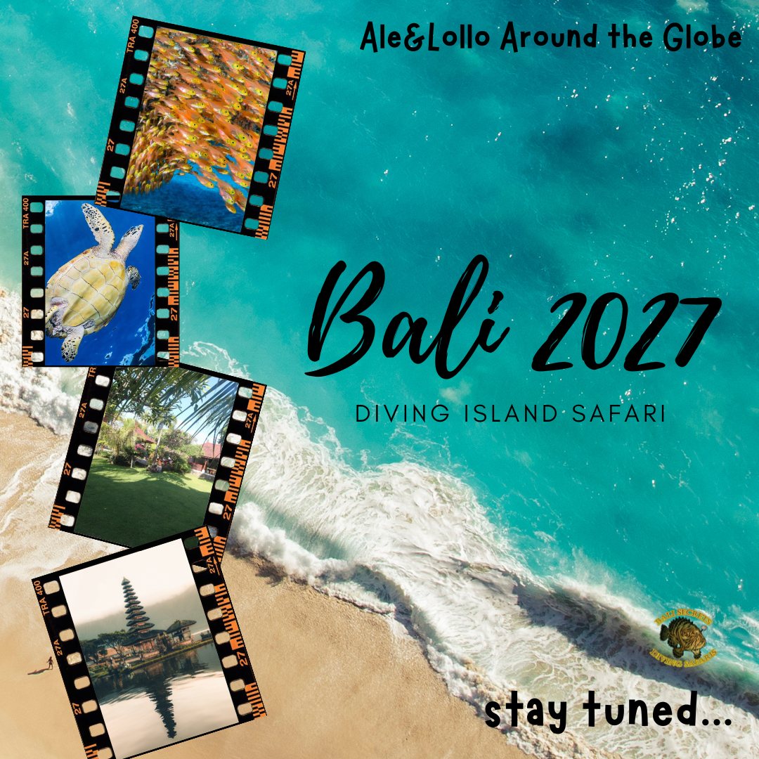 Under Costruction, our cooperation with Bali Secret Diving Safari !