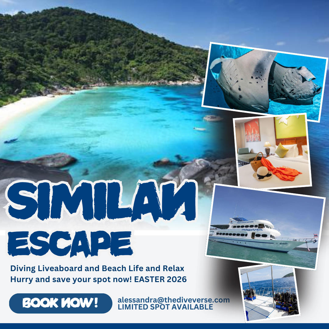 similan_3-1758096455681.png
