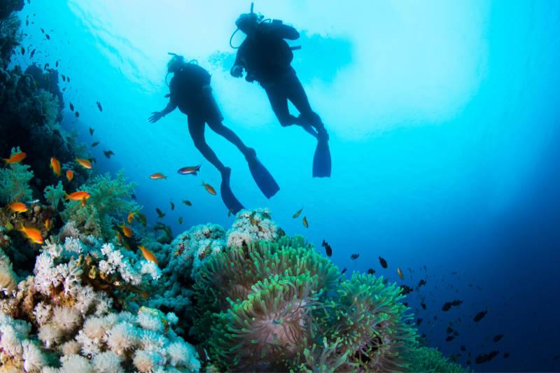stella_di_mare_beach_hotel_and_spa_sharm_el_sheikh_diving.jpg
