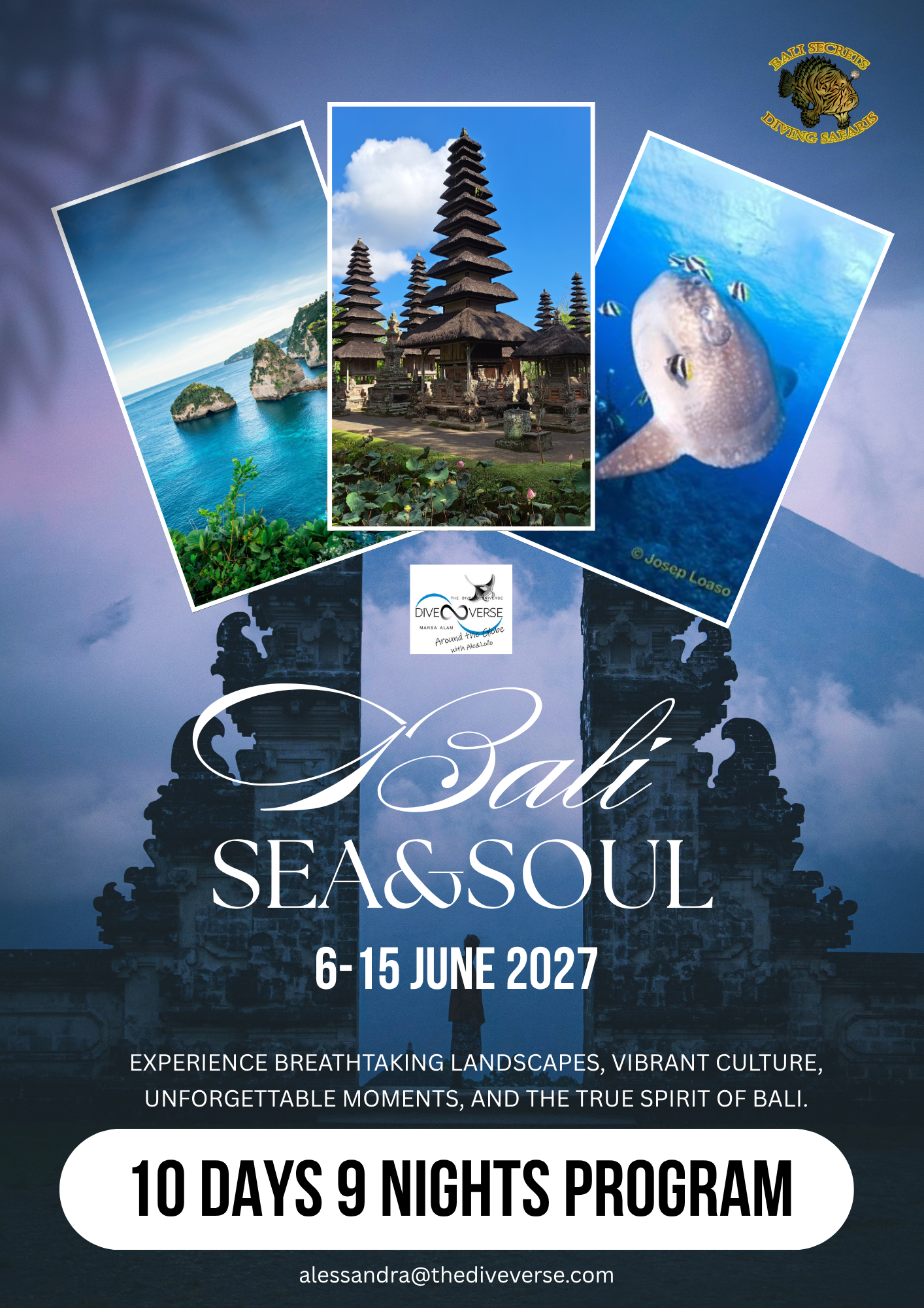 bali copertina.png