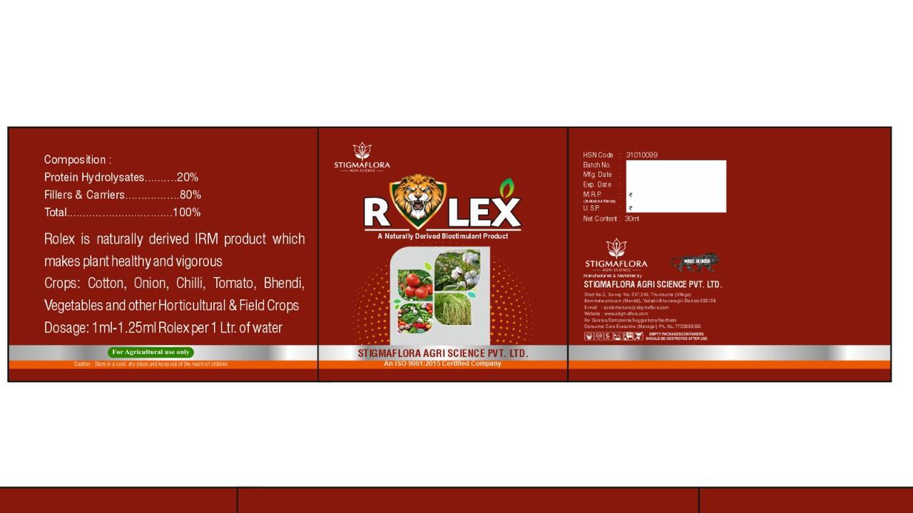 rolex.jpg