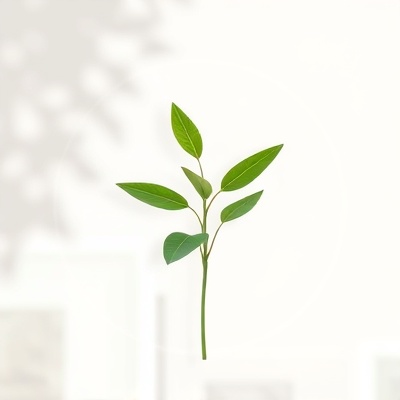 Beautiful botanical specimen in circular arrangement symbolizing Full Circle concept