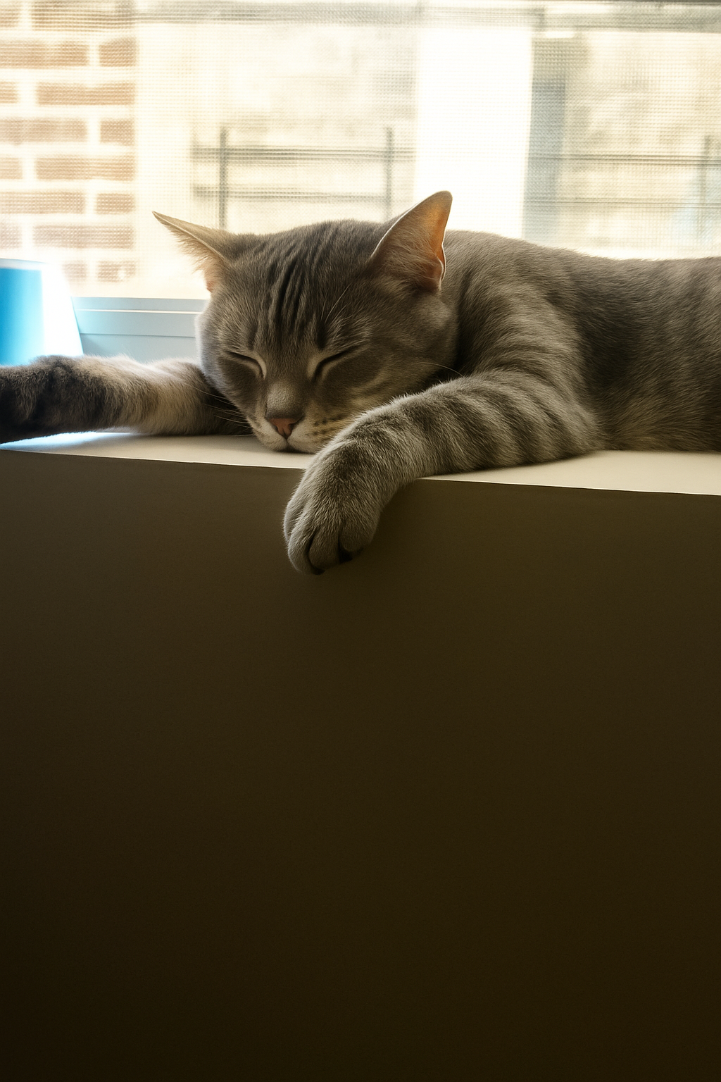 chatgpt image dec 7, 2025, 05_36_56 am.png