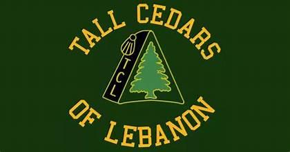 Professional Tall Cedars of Lebanon Masonic emblem logo featuring a cedar tree symbol with Masonic elements