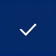 Verification process icon