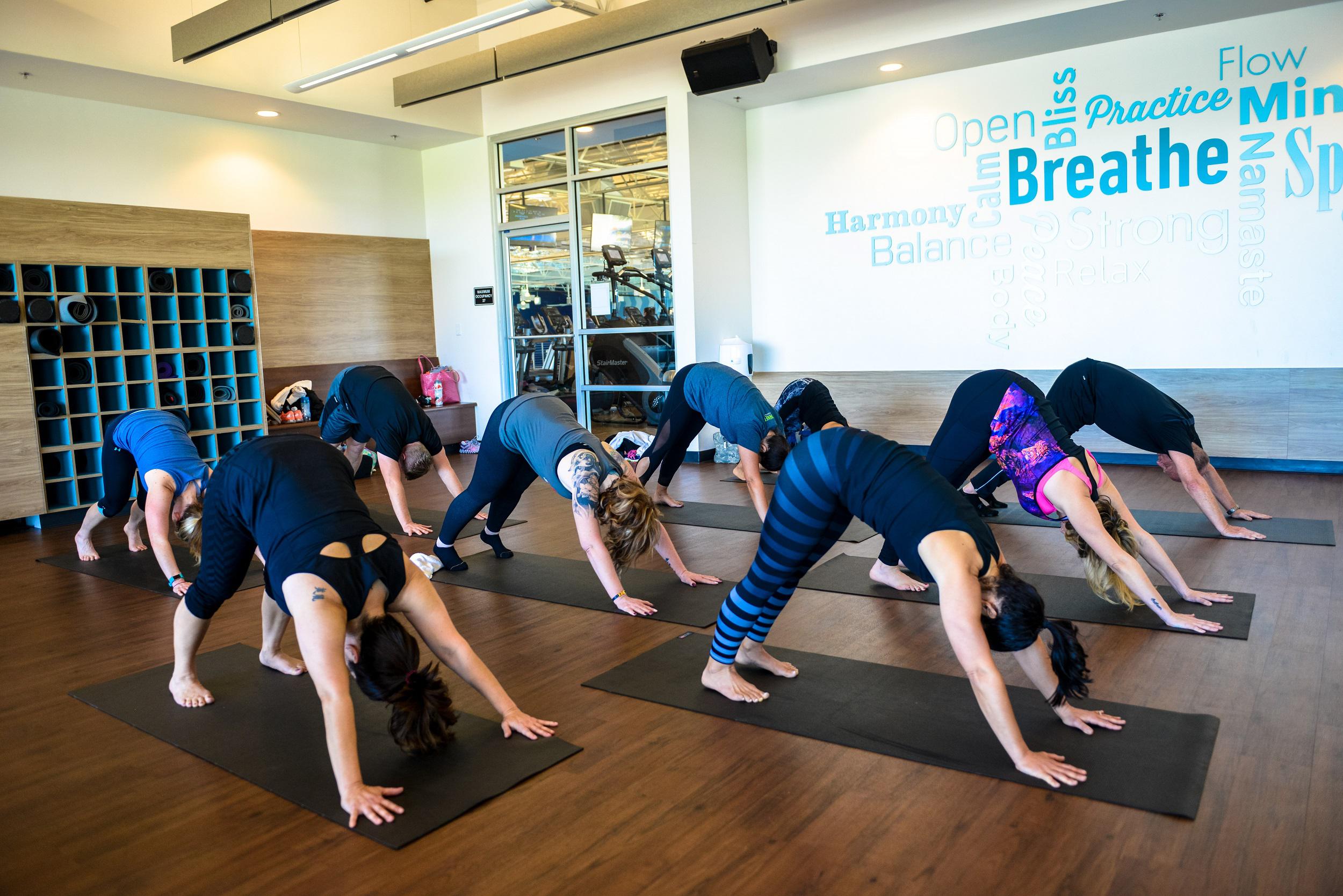 copy of 5304_502.jpg