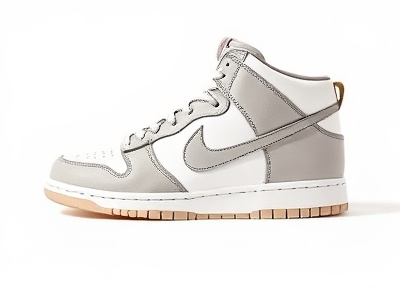 Nike Dunk sneaker silhouette