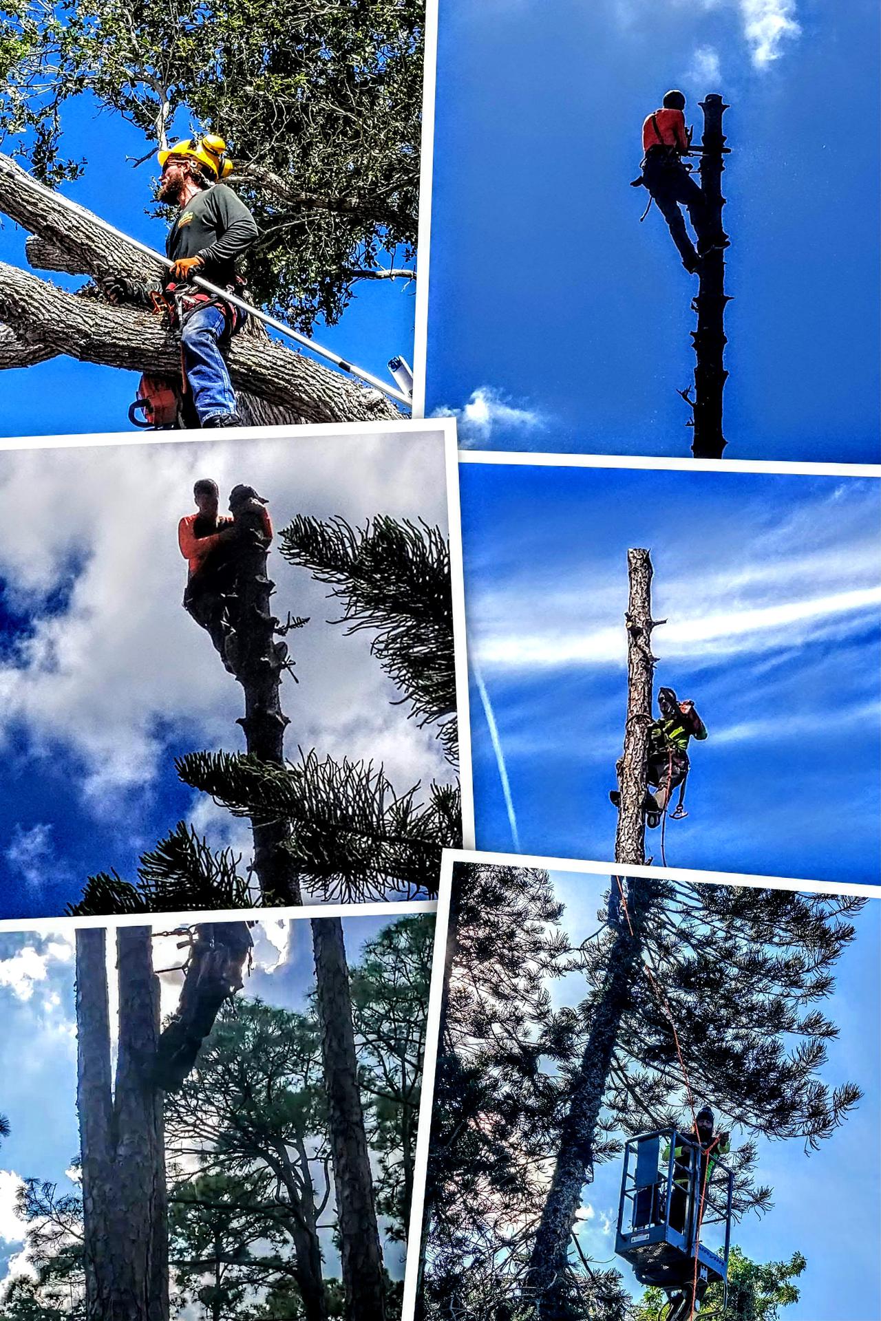 20170712_103135-collage~2.jpg
