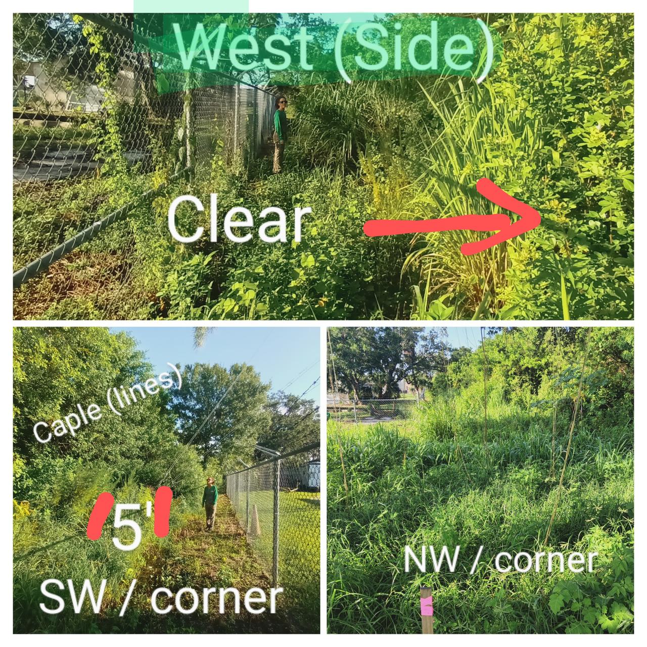 20230719_083636-collage~2.jpg