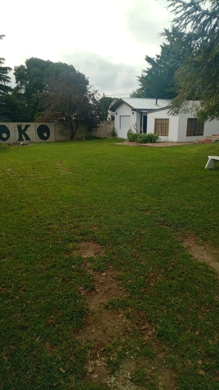 Transformación de jardín - Trabajo profesional 2