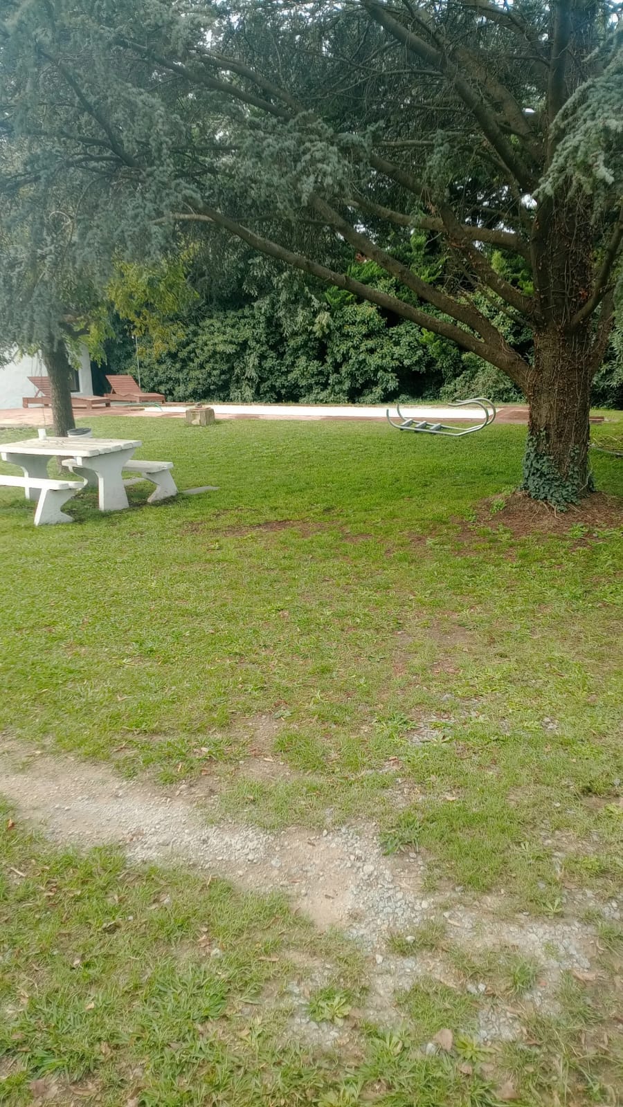 Transformación de jardín - Trabajo profesional 1