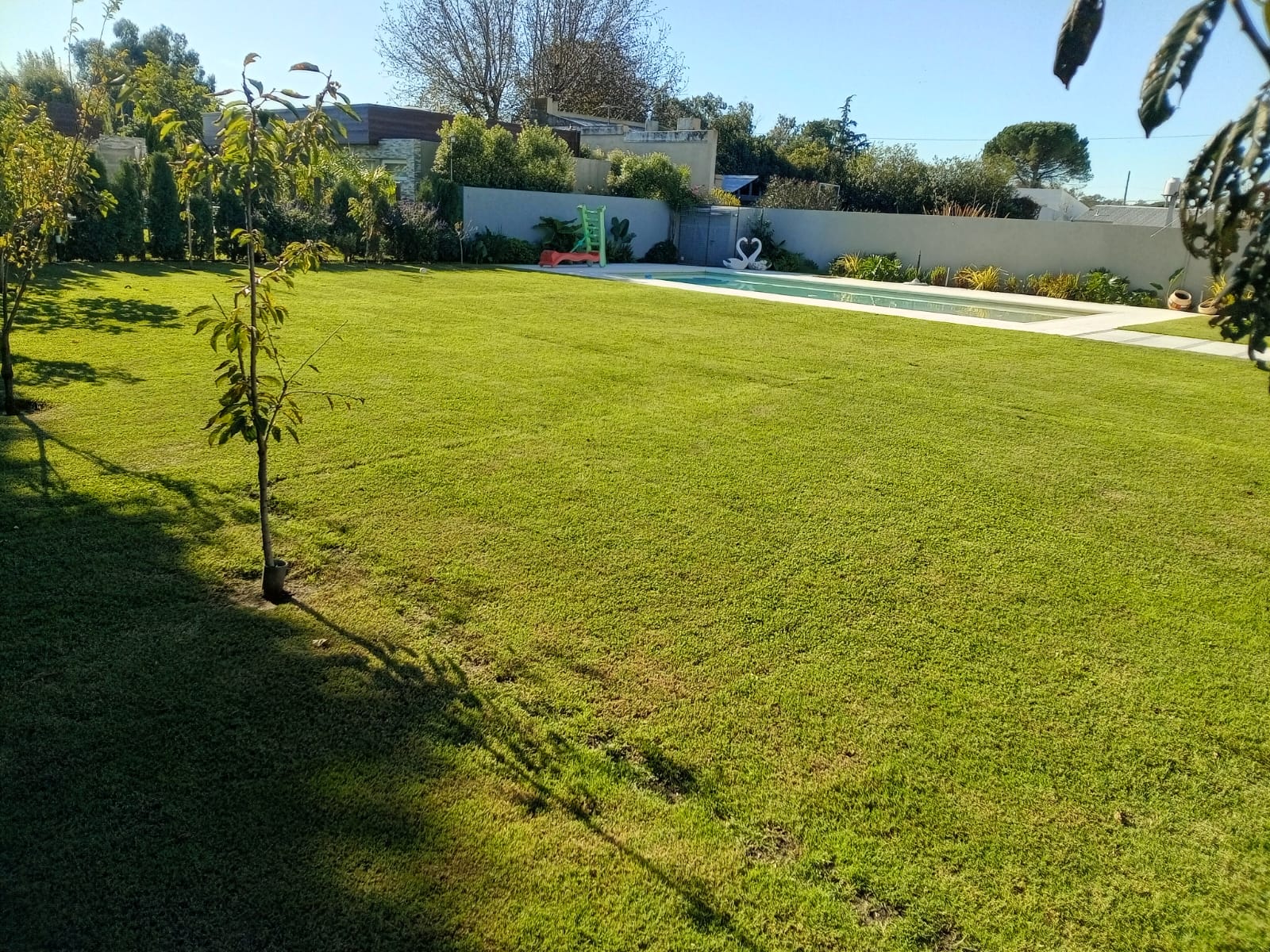 Transformación de jardín - Trabajo profesional 6