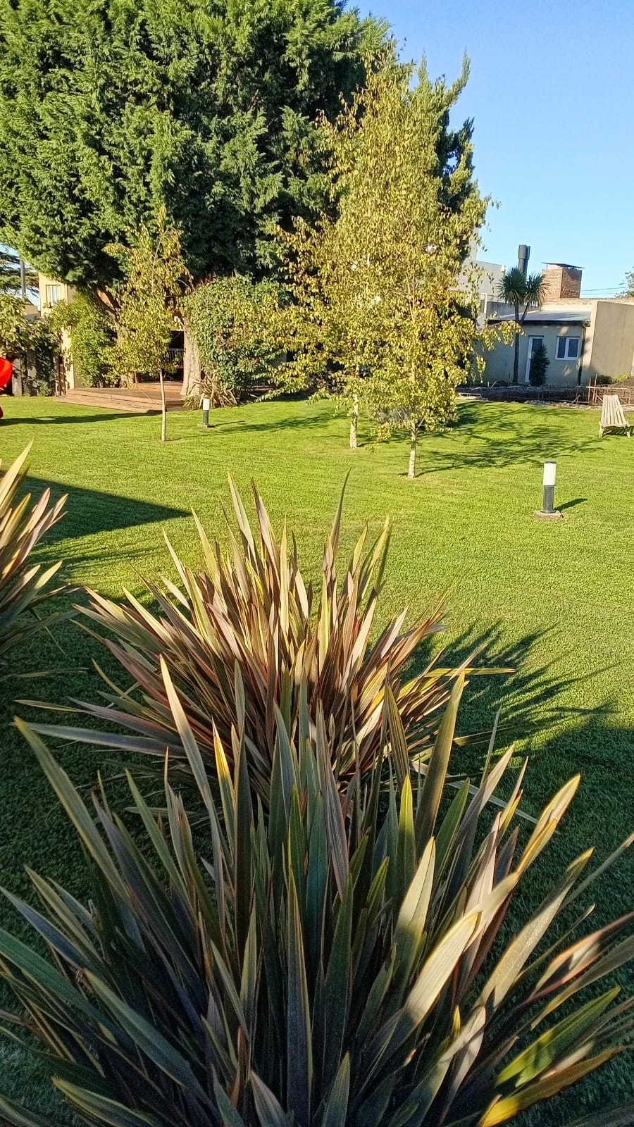 Transformación de jardín - Trabajo profesional 3