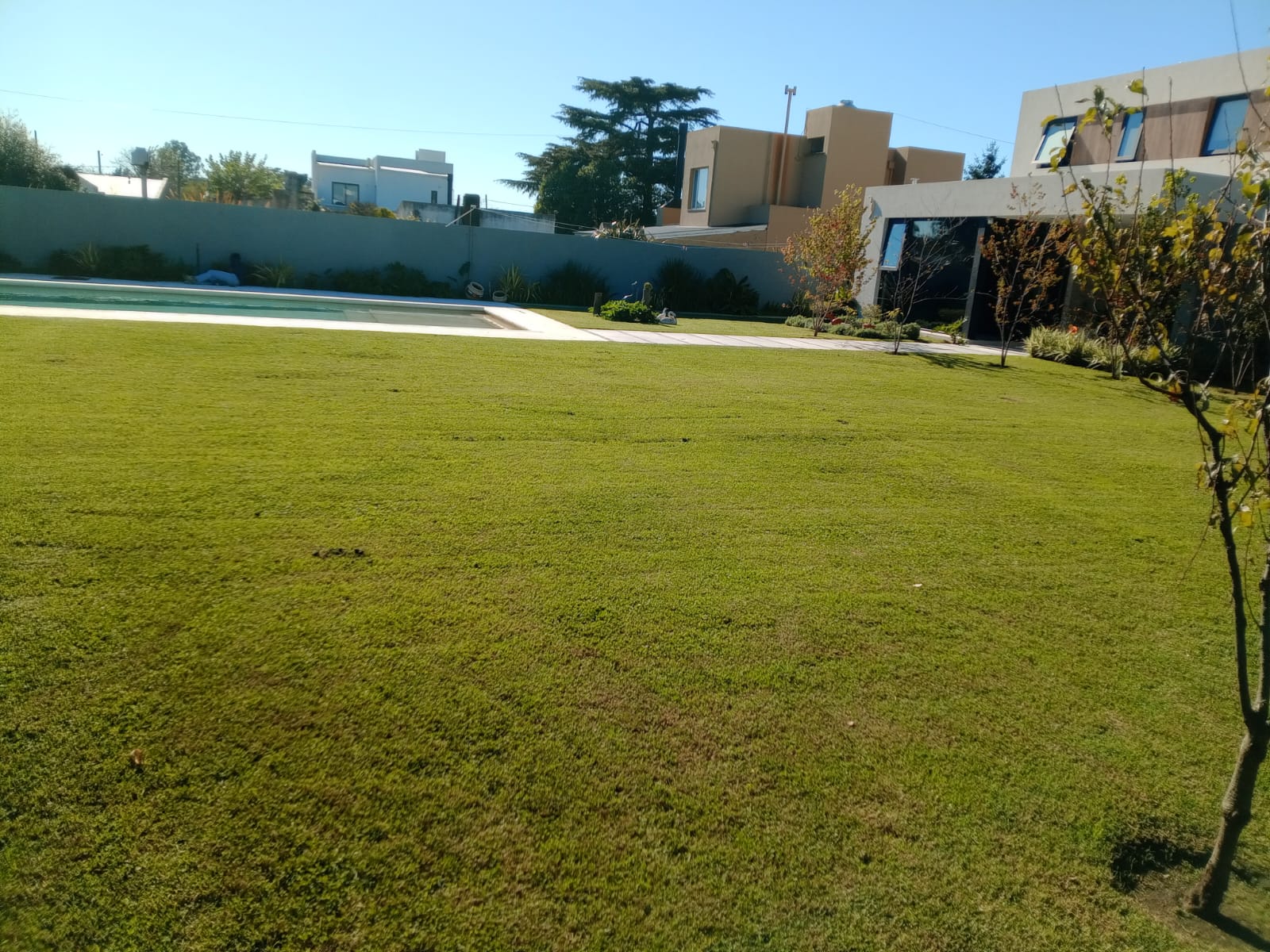 Transformación de jardín - Trabajo profesional 7
