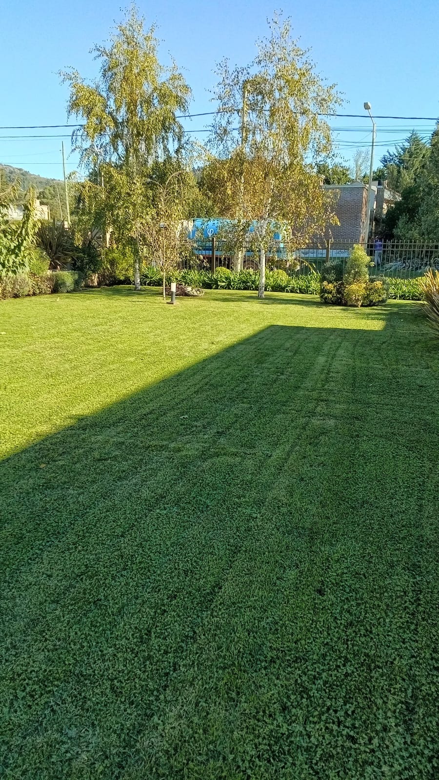 Transformación de jardín - Trabajo profesional 4