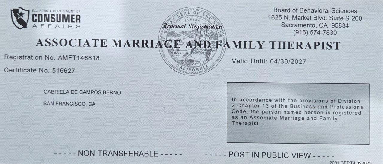 gabi amft registration expires april 2027.jpg