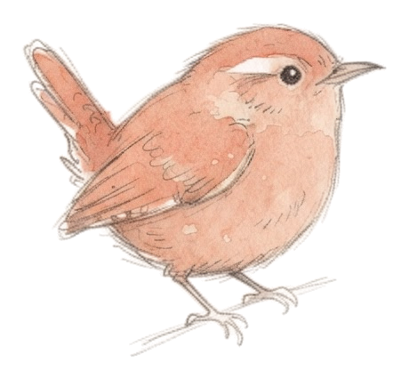 A little hand-drawn coral wren