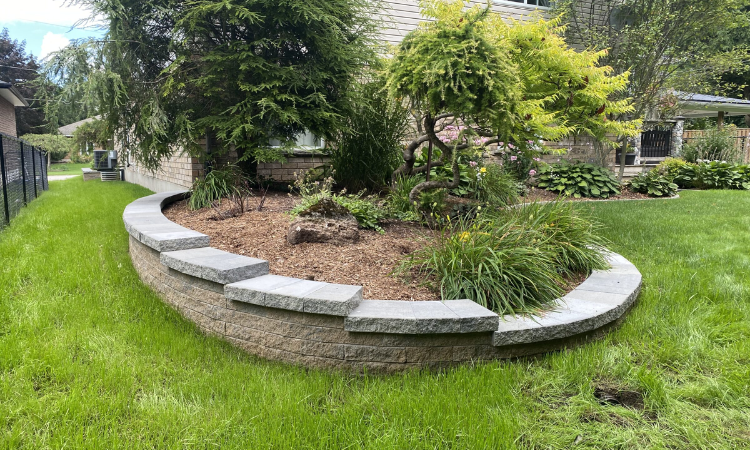 untitled design (15).png