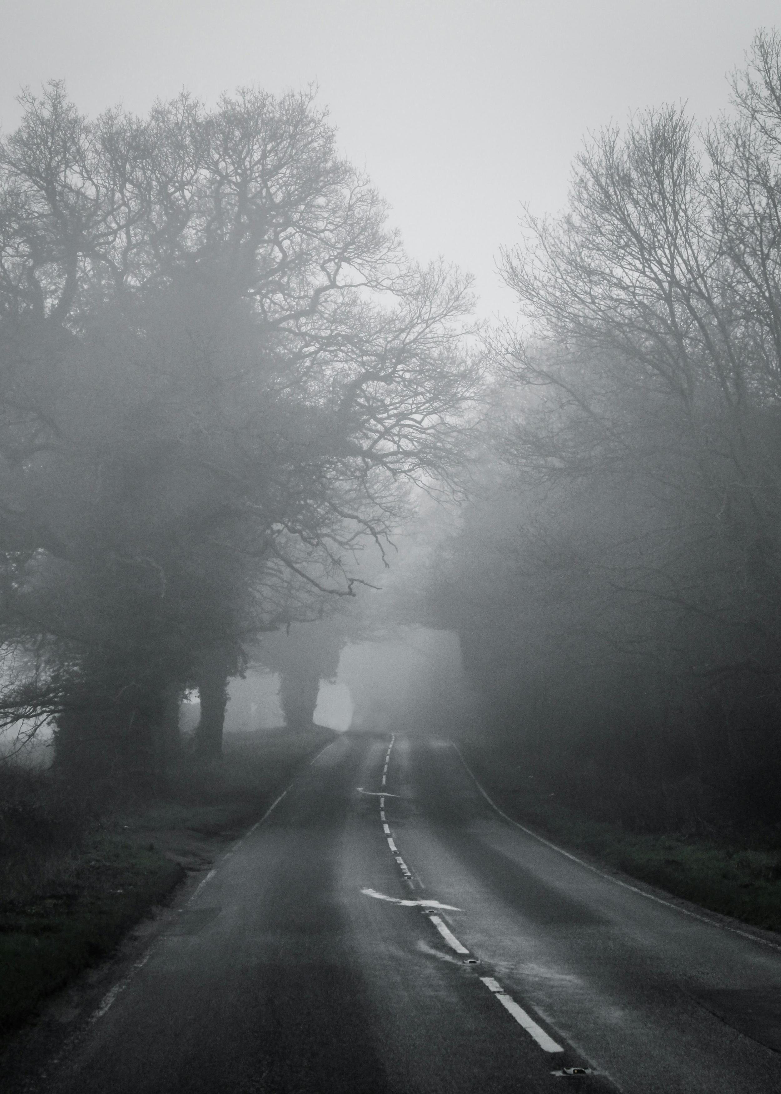 fog road.jpg