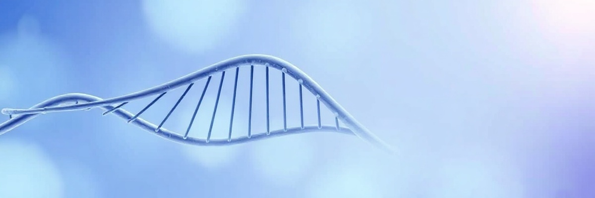 DNA Testing Hero