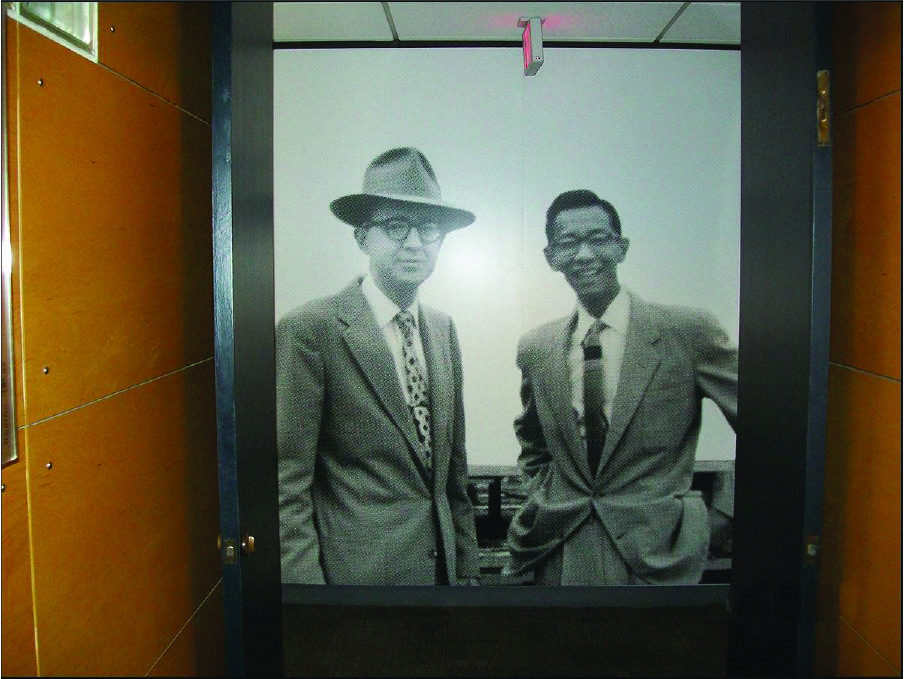 digital wall coverings