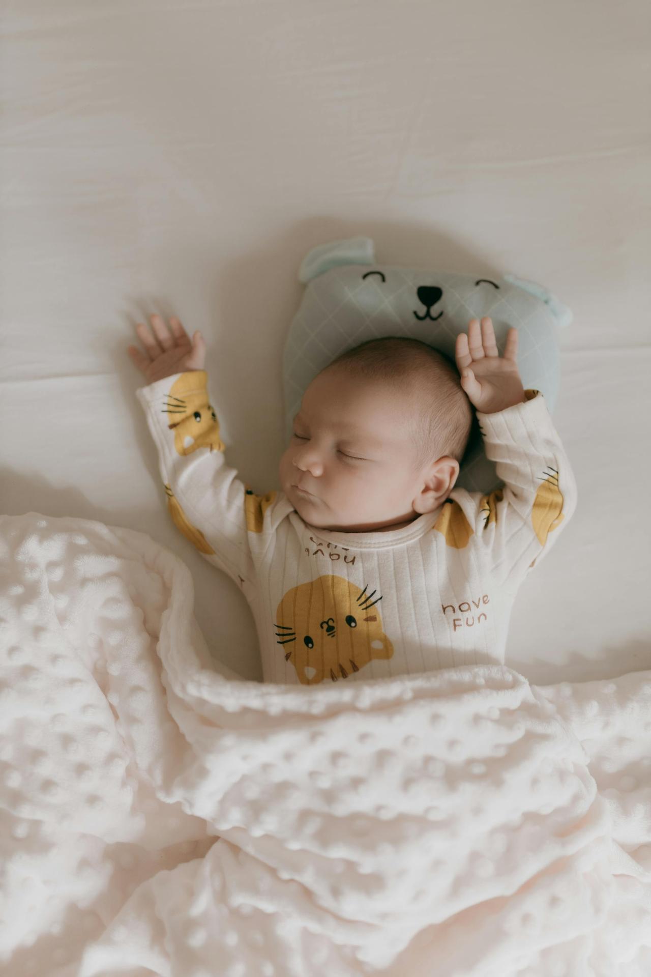 Peaceful sleeping newborn baby nestled in a soft blanket with a cute animal pillow.