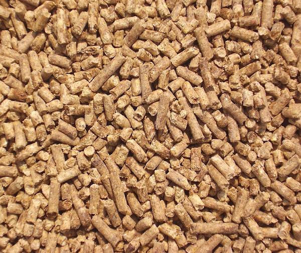 layer poultry feed.jpg