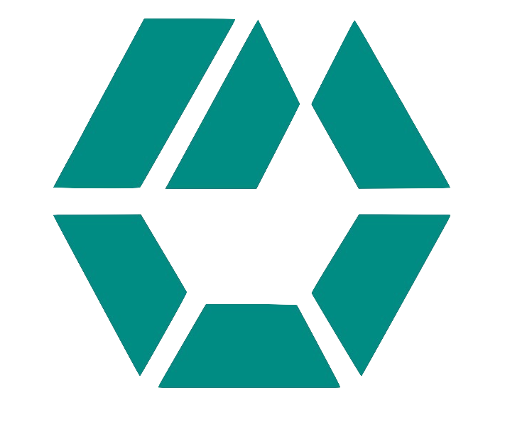 solo logo.png