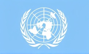 United Nations partner