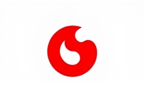 Humanitarian partner