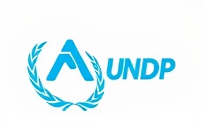 UNDP partner