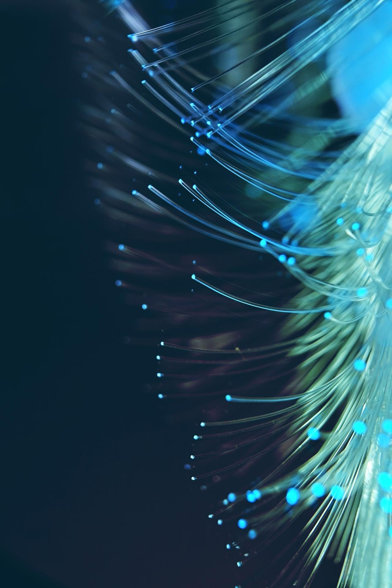 amazing-and-vibrant-macro-of-blue-fiber-optical-2026-03-09-08-44-19-utc.jpg
