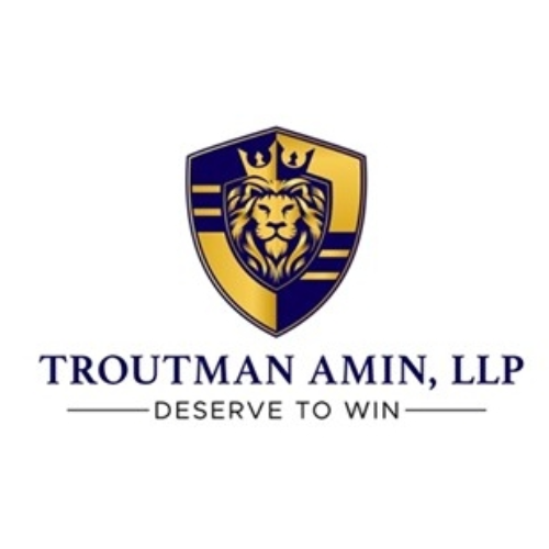 troutman_amin_logo.png