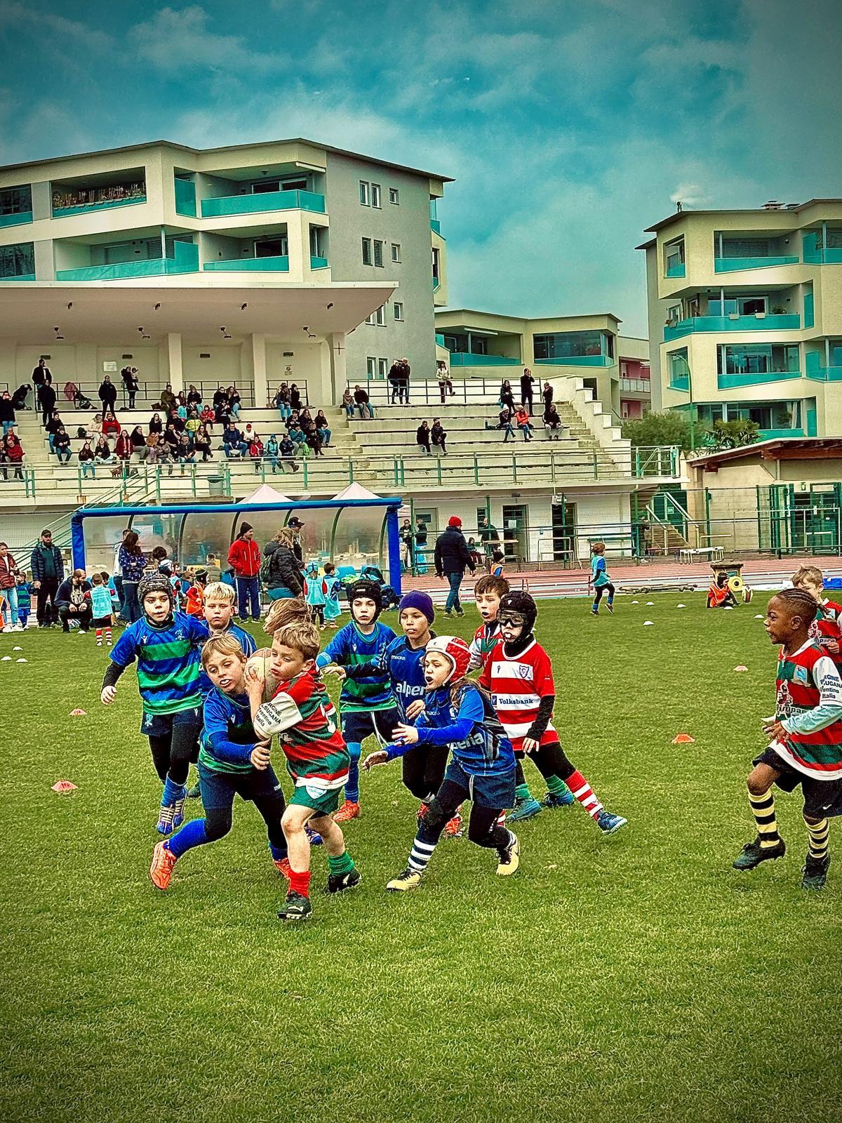 immagine whatsapp 2025-11-16 ore 17.27.29_b833de32.jpg