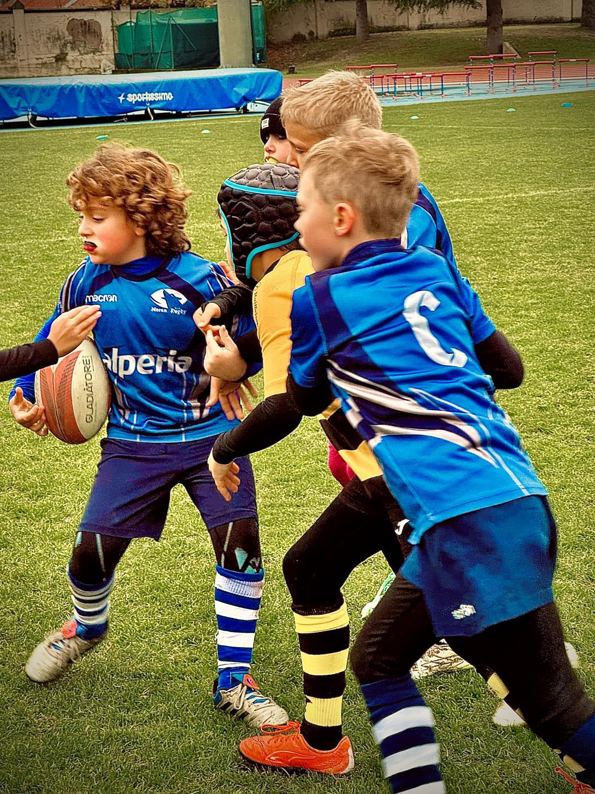 immagine whatsapp 2025-11-16 ore 17.26.58_e25496c1.jpg