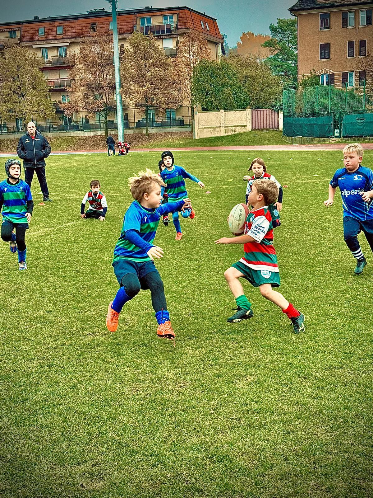 immagine whatsapp 2025-11-16 ore 17.27.25_4714e795.jpg