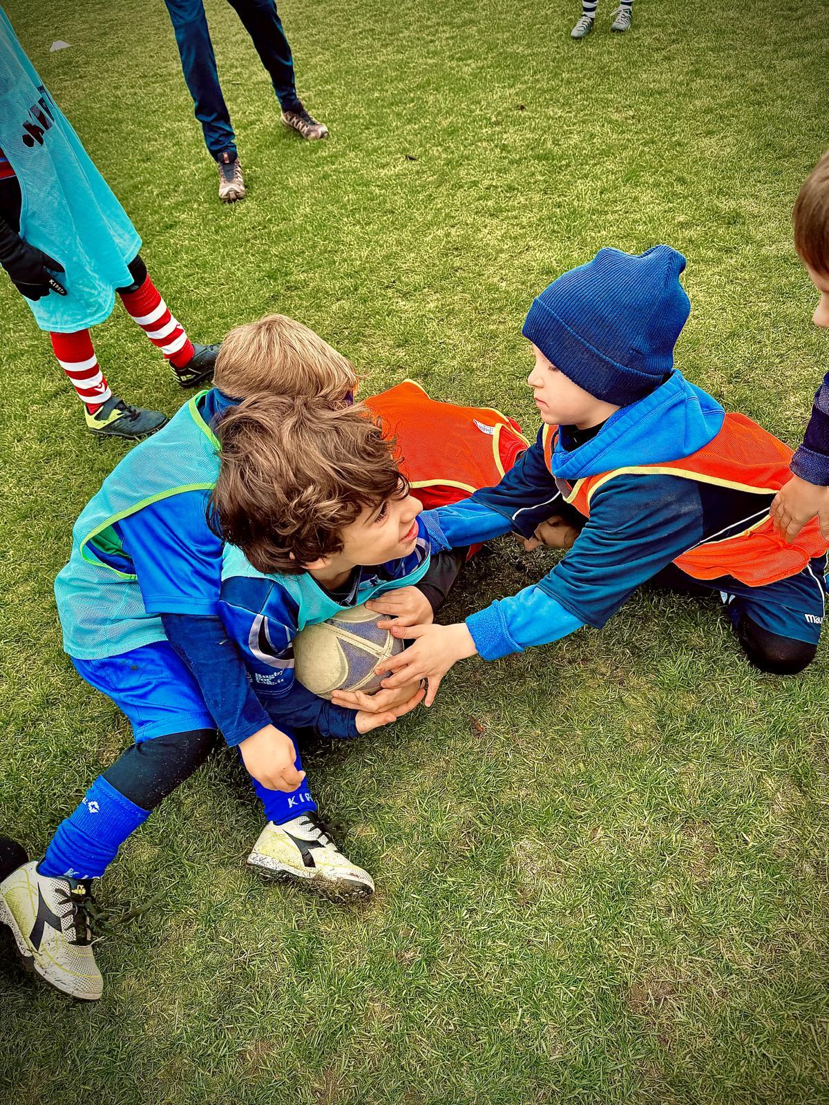 immagine whatsapp 2025-11-16 ore 17.25.59_c0528538.jpg