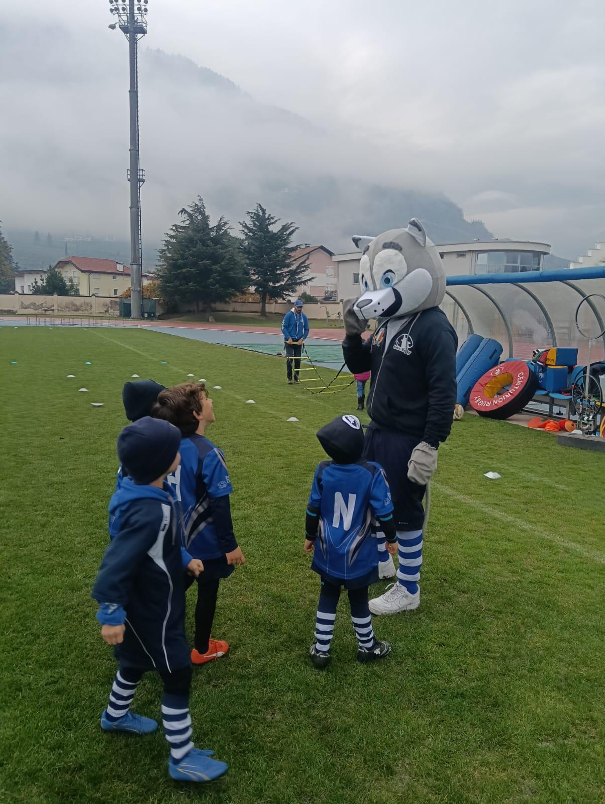 immagine whatsapp 2025-11-16 ore 10.57.00_7cb1da19.jpg