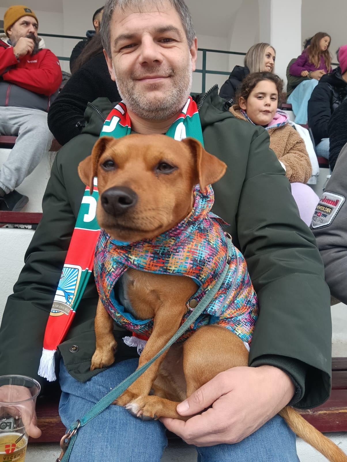 immagine whatsapp 2025-11-16 ore 10.56.59_fb15b21d.jpg