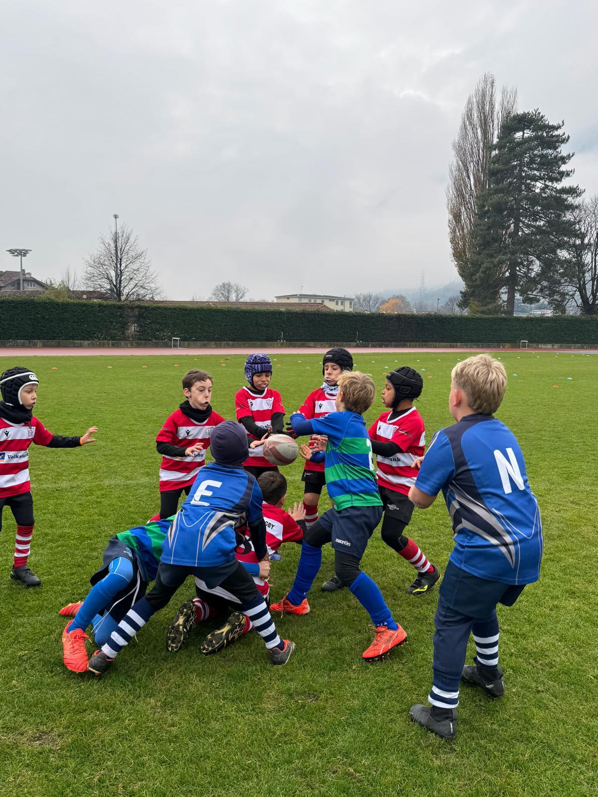 immagine whatsapp 2025-11-16 ore 10.36.10_09f68751.jpg