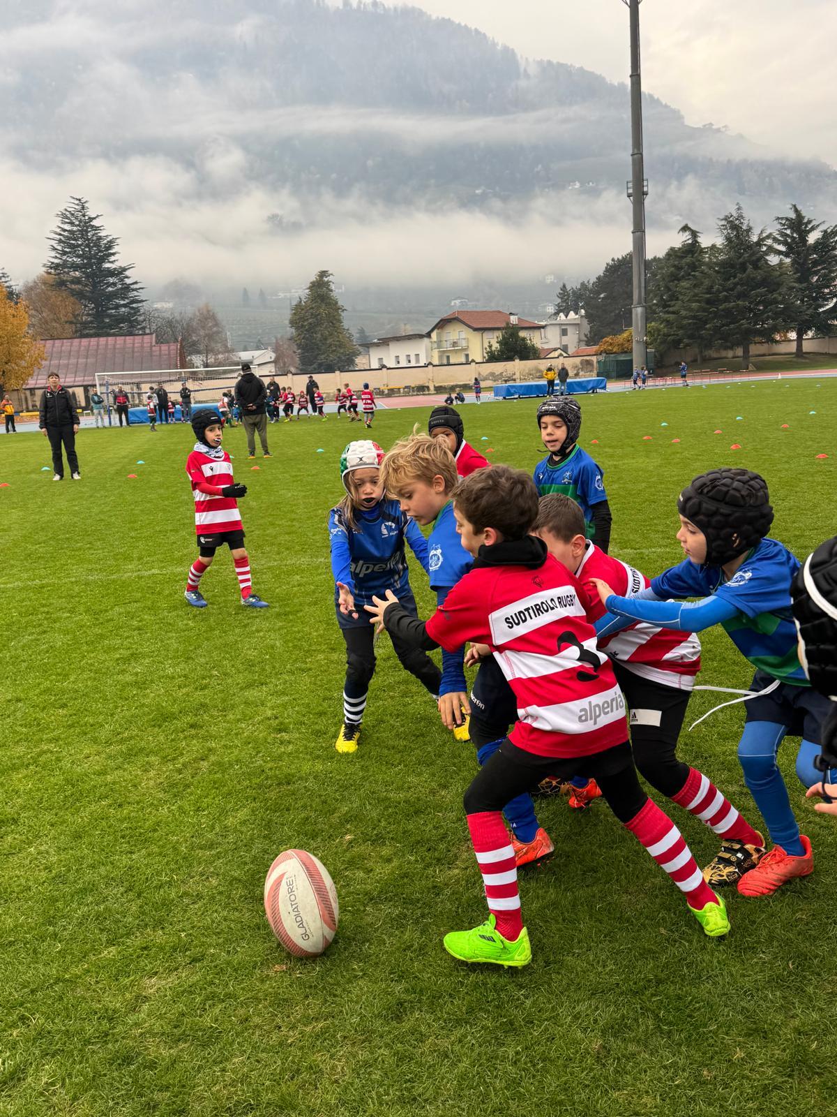 immagine whatsapp 2025-11-16 ore 10.36.09_1514e4ca.jpg