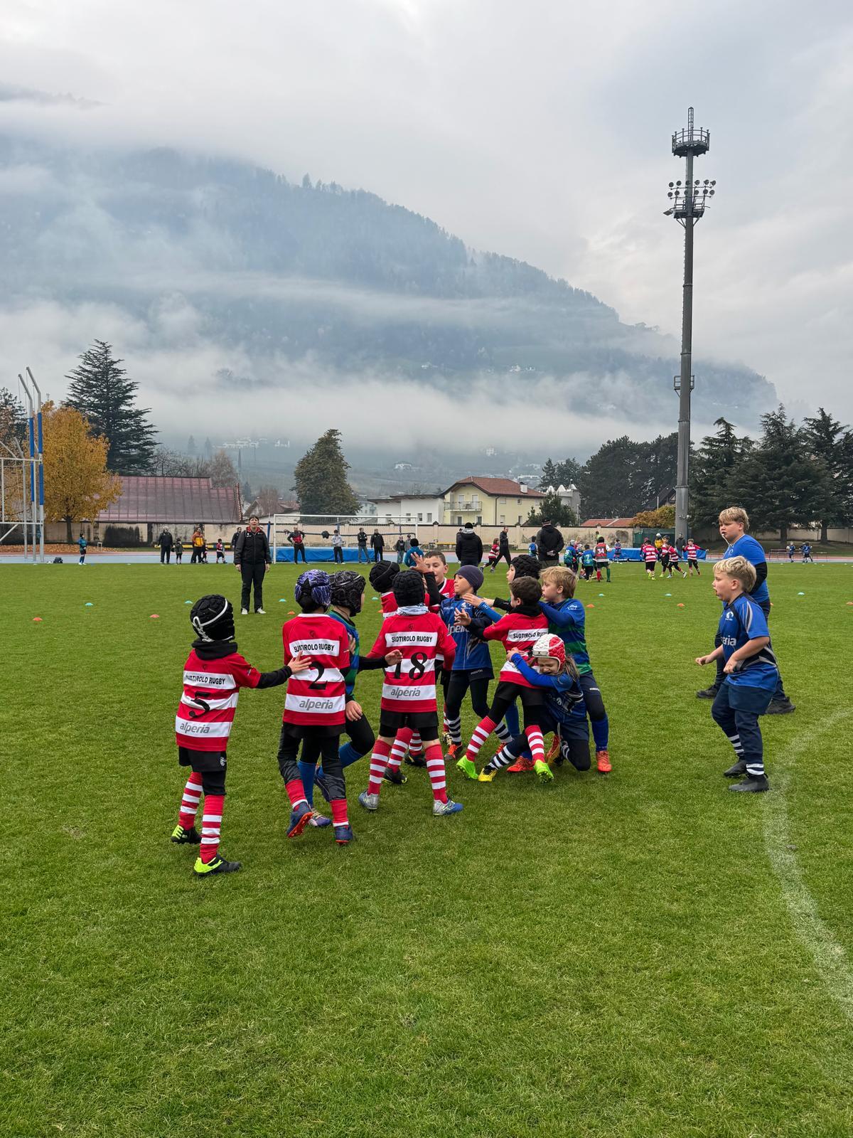 immagine whatsapp 2025-11-16 ore 10.35.27_62eff18e.jpg