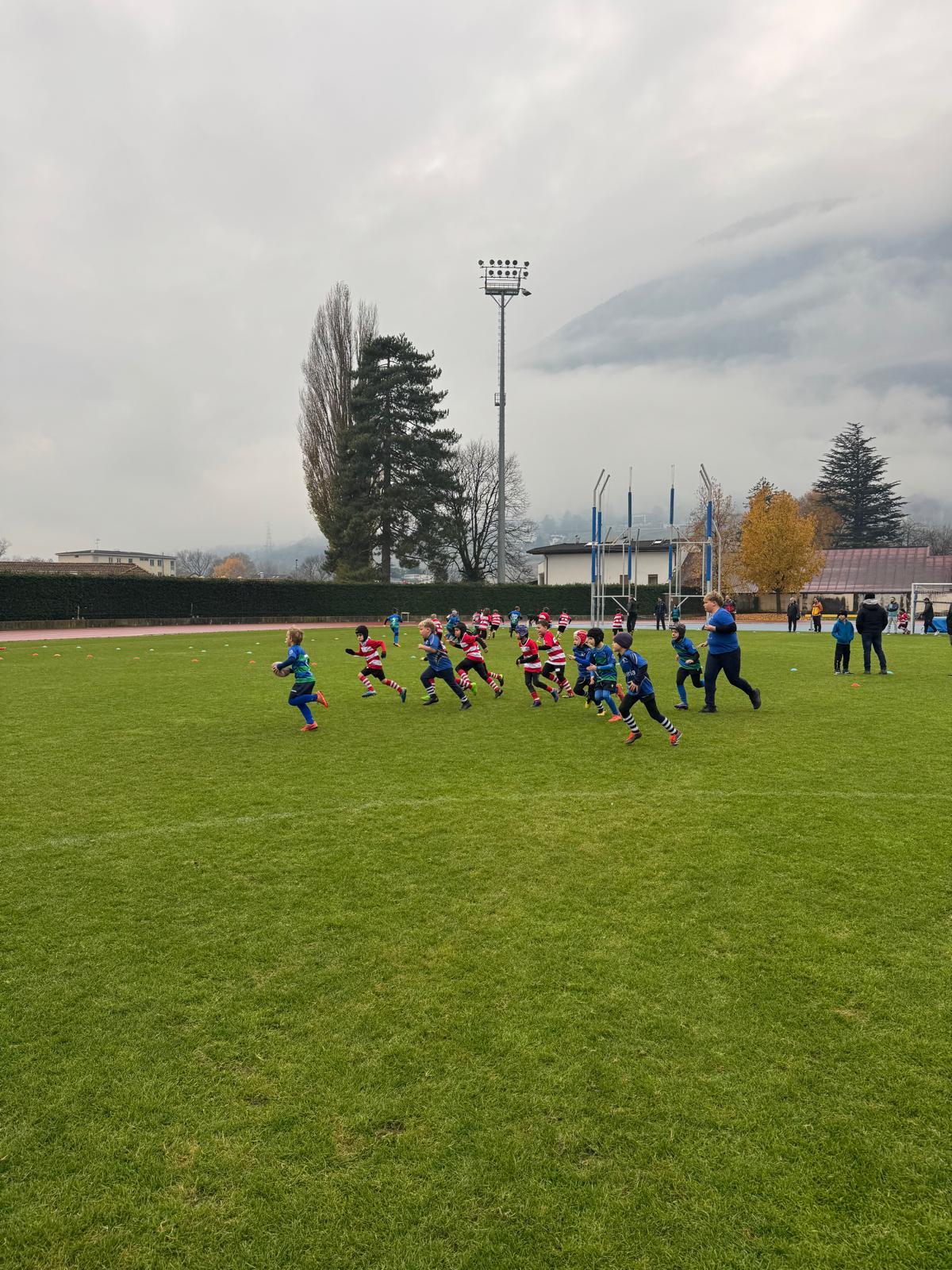 immagine whatsapp 2025-11-16 ore 10.35.25_7de94e6b.jpg