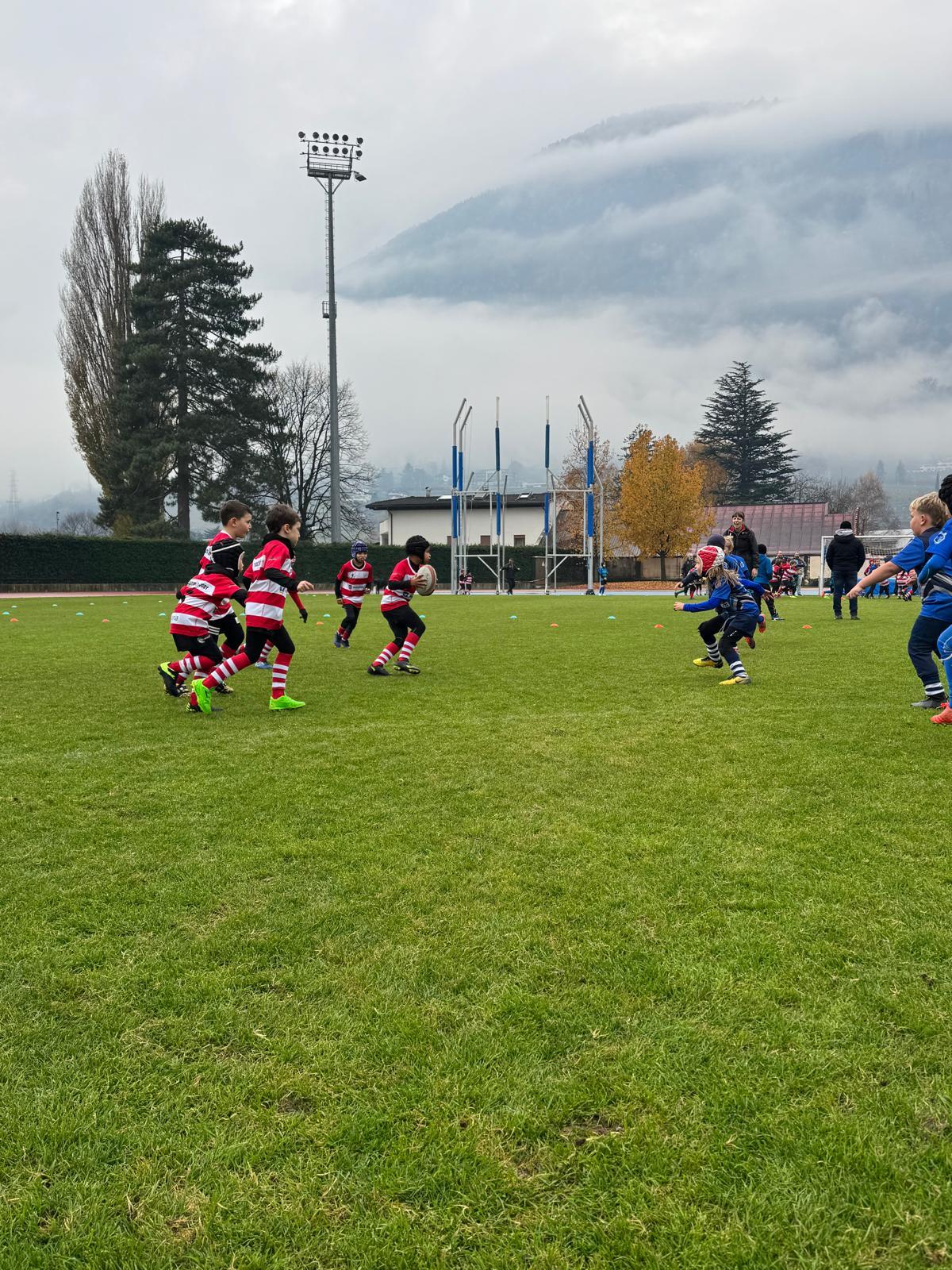 immagine whatsapp 2025-11-16 ore 10.35.26_1f1ced20.jpg