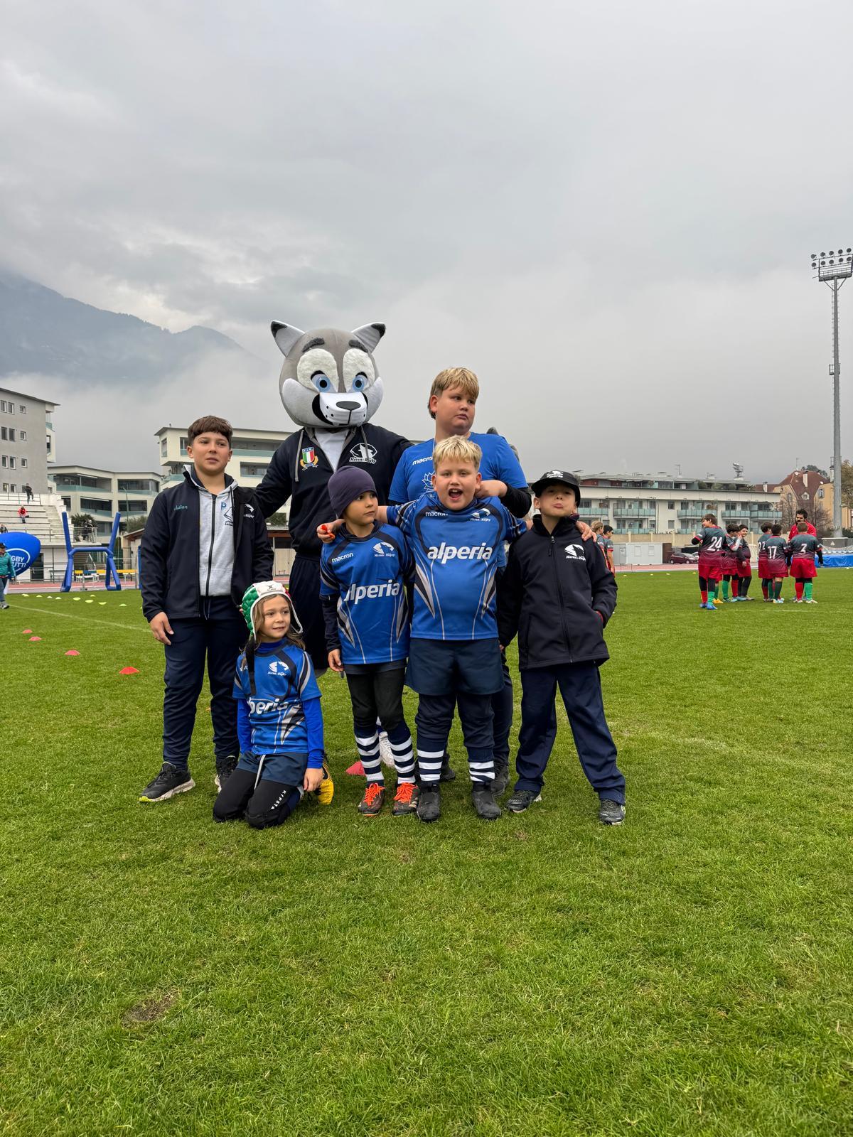 immagine whatsapp 2025-11-16 ore 10.33.33_bd5eea52.jpg