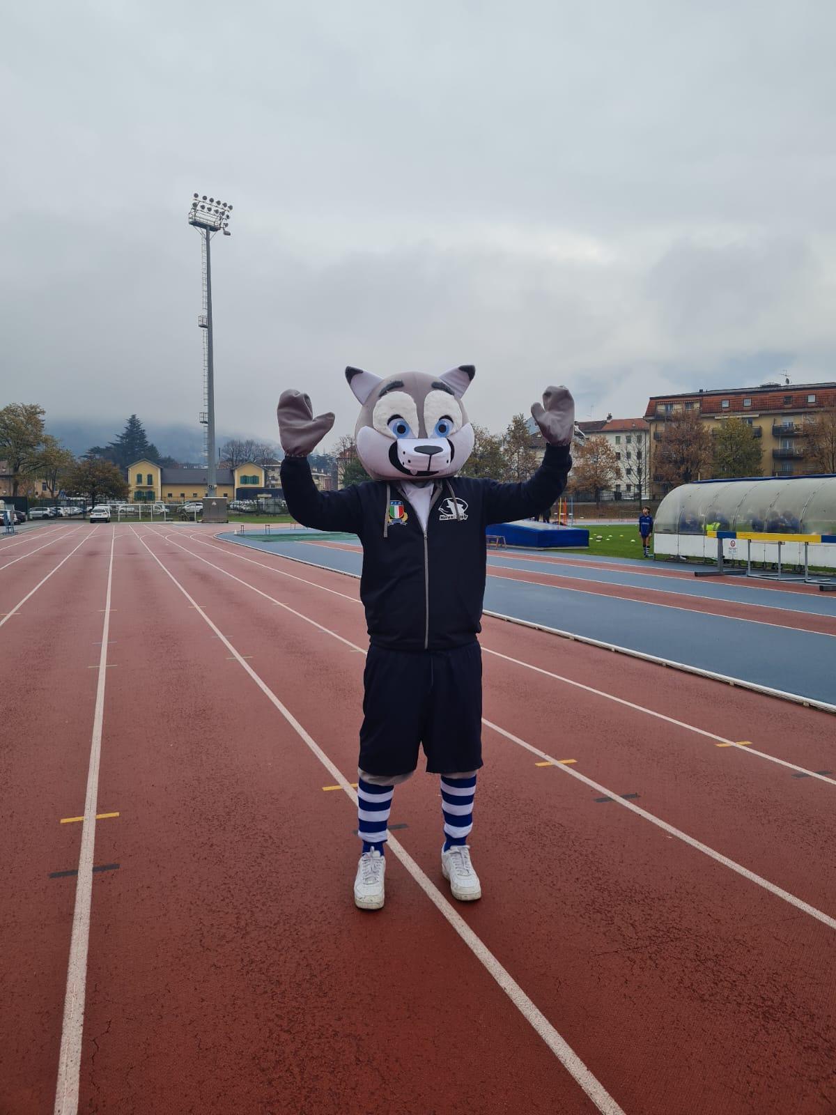 immagine whatsapp 2025-11-16 ore 10.29.33_adb2d974.jpg