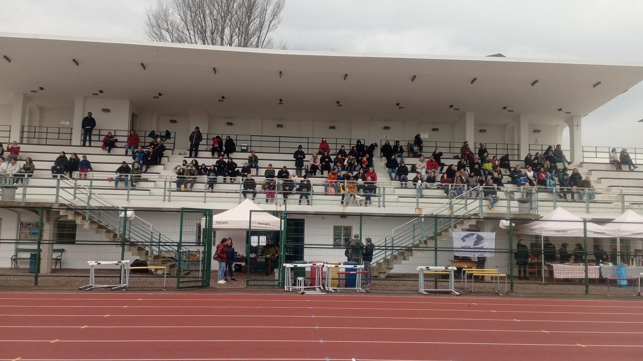 immagine whatsapp 2025-11-16 ore 10.18.56_15d107fb.jpg