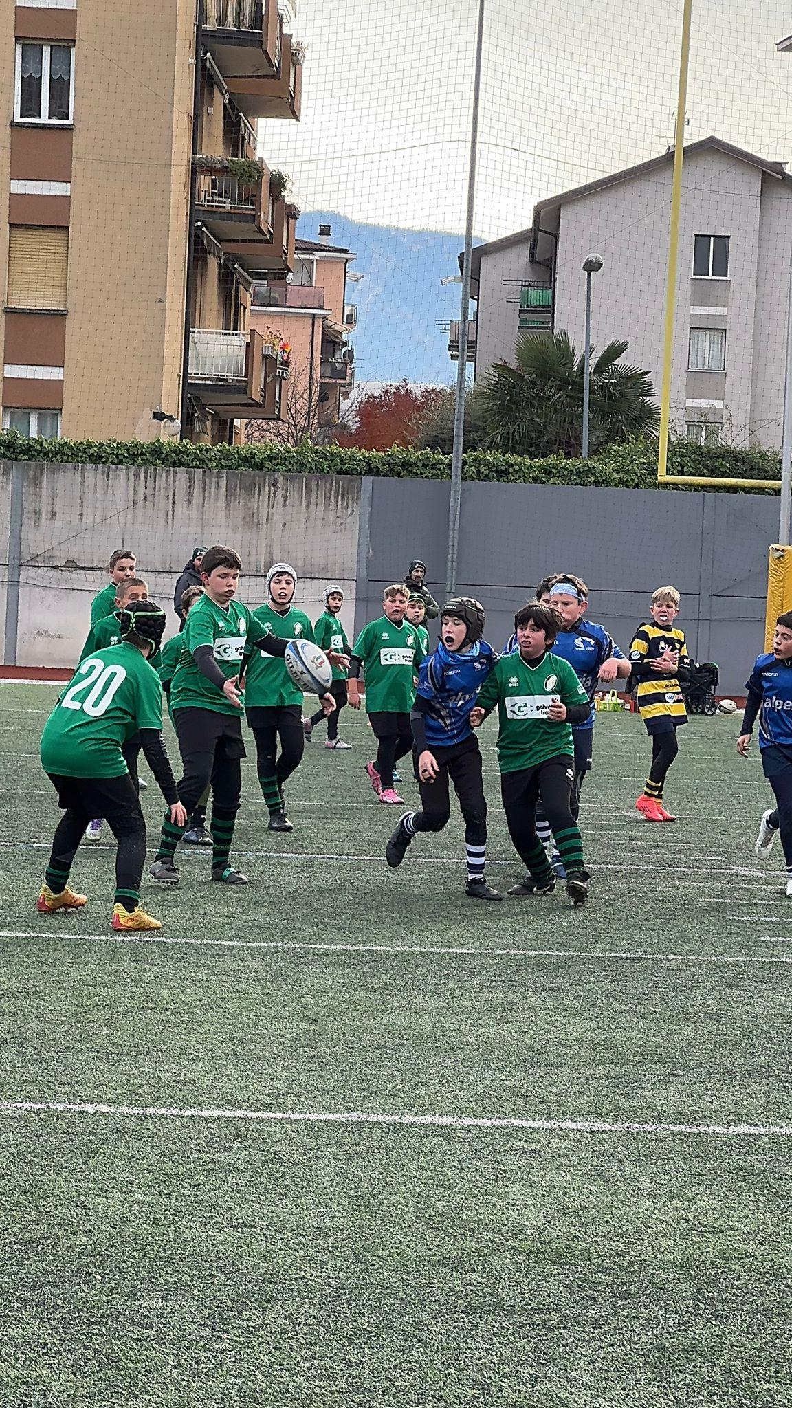 immagine whatsapp 2025-11-30 ore 21.10.02_5dc8816c.jpg